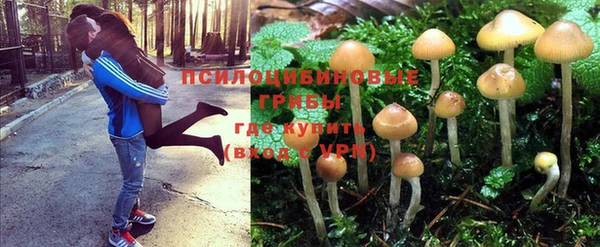 СК Горняк