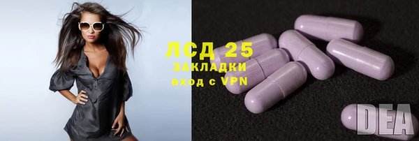 СК Горняк
