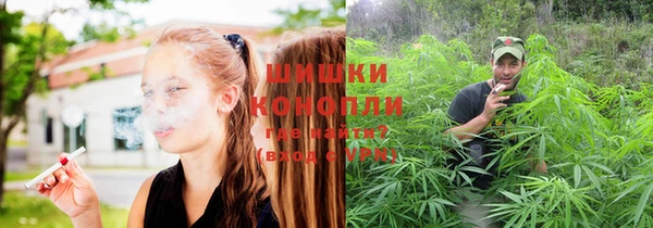 СК Горняк