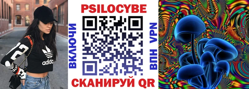 купить наркотики цена  Ермолино  Псилоцибиновые грибы Psilocybine cubensis 